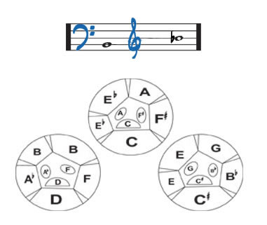 Coyle Drums: Steel Drum Six Bass