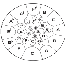 Tenor (soprano) steeldrum - C chromatic scale (29 notes)